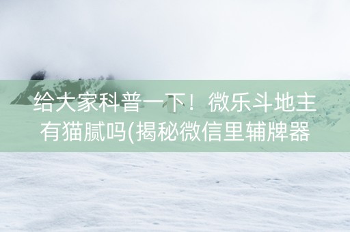 给大家科普一下！微乐斗地主有猫腻吗(揭秘微信里辅牌器)