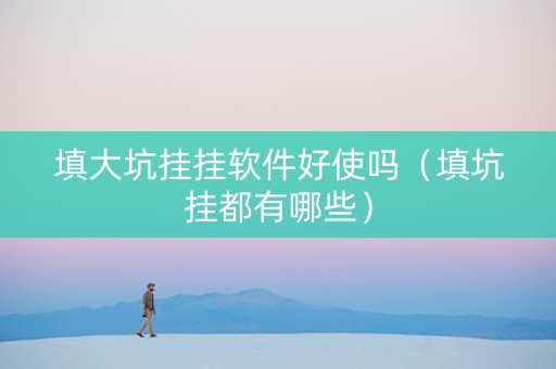 填大坑挂挂软件好使吗（填坑挂都有哪些）