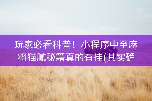 玩家必看科普！小程序中至麻将猫腻秘籍真的有挂(其实确实有挂)