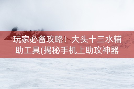 玩家必备攻略！大头十三水辅助工具(揭秘手机上助攻神器)