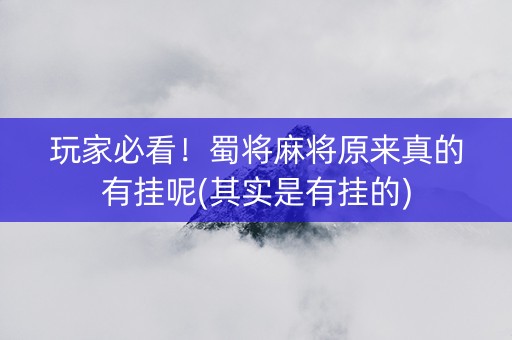 玩家必看！蜀将麻将原来真的有挂呢(其实是有挂的)