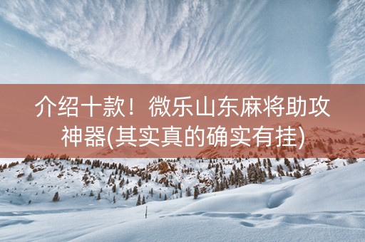 介绍十款！微乐山东麻将助攻神器(其实真的确实有挂)
