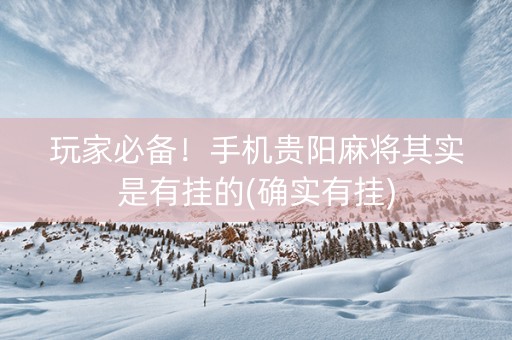玩家必备！手机贵阳麻将其实是有挂的(确实有挂)