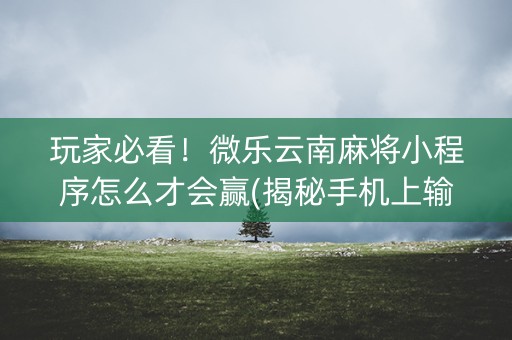 玩家必看！微乐云南麻将小程序怎么才会赢(揭秘手机上输赢规律)