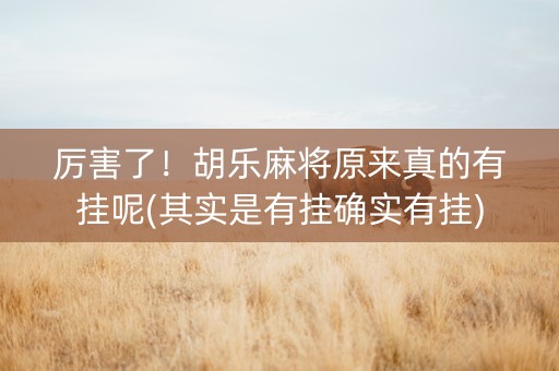 厉害了！胡乐麻将原来真的有挂呢(其实是有挂确实有挂)