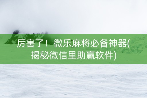 厉害了！微乐麻将必备神器(揭秘微信里助赢软件)