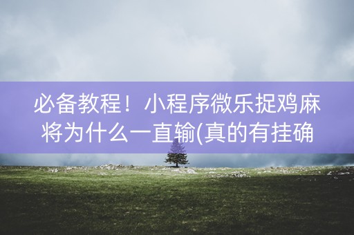 必备教程！小程序微乐捉鸡麻将为什么一直输(真的有挂确实有挂)