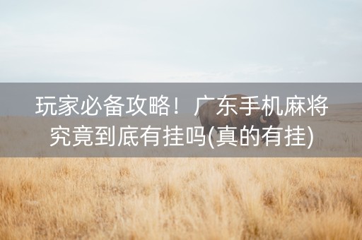 玩家必备攻略！广东手机麻将究竟到底有挂吗(真的有挂)