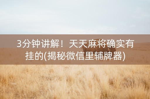 3分钟讲解！天天麻将确实有挂的(揭秘微信里辅牌器)