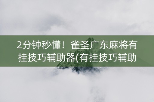 2分钟秒懂！雀圣广东麻将有挂技巧辅助器(有挂技巧辅助器)