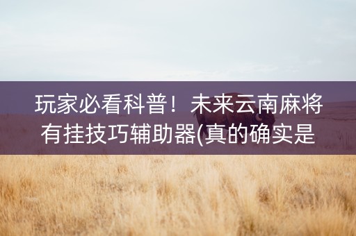 玩家必看科普！未来云南麻将有挂技巧辅助器(真的确实是有挂)
