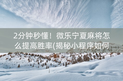 2分钟秒懂！微乐宁夏麻将怎么提高胜率(揭秘小程序如何让牌变好)