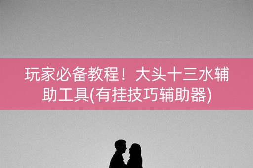 玩家必备教程！大头十三水辅助工具(有挂技巧辅助器)