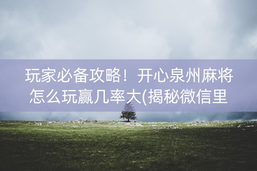 玩家必备攻略！开心泉州麻将怎么玩赢几率大(揭秘微信里助赢软件)