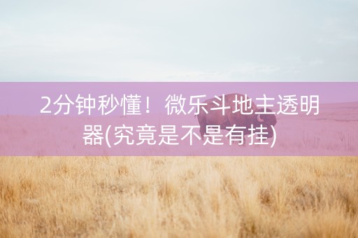 2分钟秒懂！微乐斗地主透明器(究竟是不是有挂)