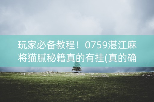 玩家必备教程！0759湛江麻将猫腻秘籍真的有挂(真的确实是有挂)