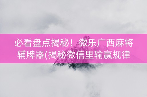 必看盘点揭秘！微乐广西麻将辅牌器(揭秘微信里输赢规律)