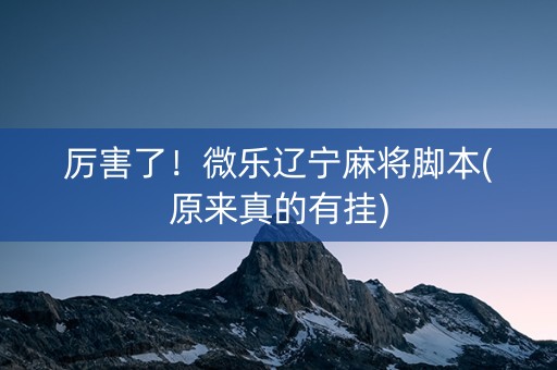 厉害了！微乐辽宁麻将脚本(原来真的有挂)