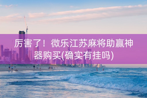 厉害了！微乐江苏麻将助赢神器购买(确实有挂吗)