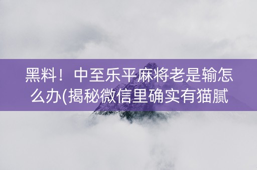 黑料！中至乐平麻将老是输怎么办(揭秘微信里确实有猫腻)