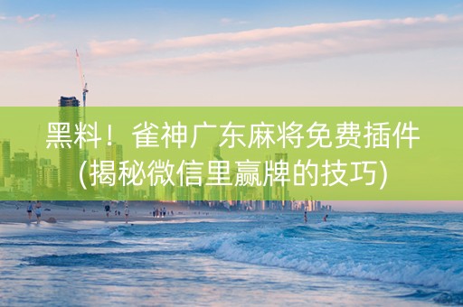 黑料！雀神广东麻将免费插件(揭秘微信里赢牌的技巧)