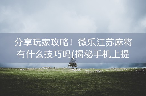 分享玩家攻略！微乐江苏麻将有什么技巧吗(揭秘手机上提高胜率)