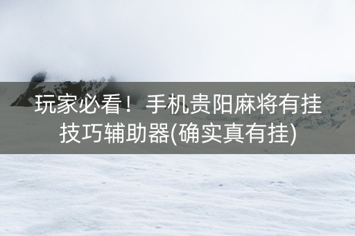 玩家必看！手机贵阳麻将有挂技巧辅助器(确实真有挂)