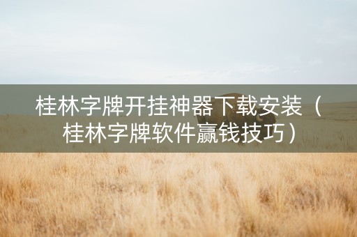 桂林字牌开挂神器下载安装（桂林字牌软件赢钱技巧）
