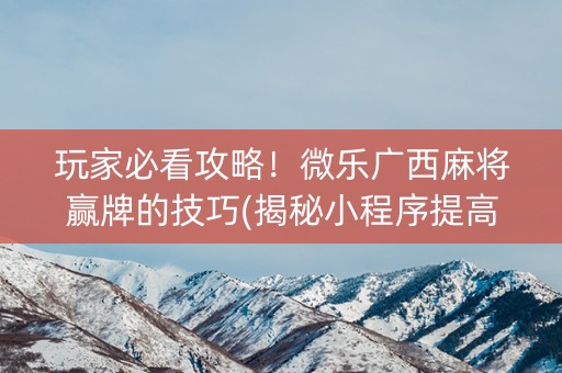玩家必看攻略！微乐广西麻将赢牌的技巧(揭秘小程序提高胜率)