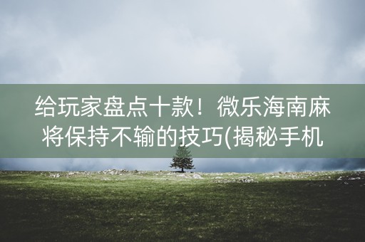 给玩家盘点十款！微乐海南麻将保持不输的技巧(揭秘手机上助手软件)