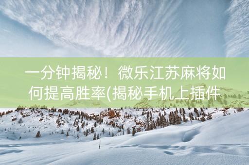 一分钟揭秘！微乐江苏麻将如何提高胜率(揭秘手机上插件免费)
