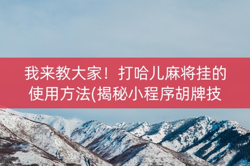 我来教大家！打哈儿麻将挂的使用方法(揭秘小程序胡牌技巧)