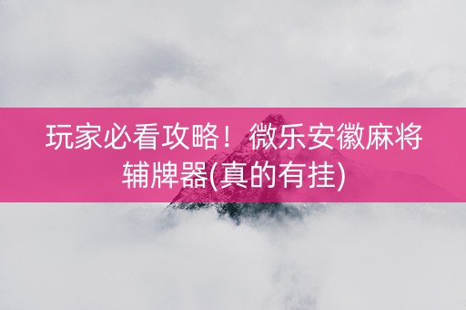 玩家必看攻略！微乐安徽麻将辅牌器(真的有挂)