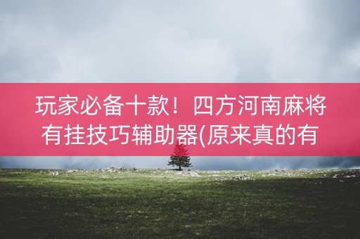 玩家必备十款！四方河南麻将有挂技巧辅助器(原来真的有挂)