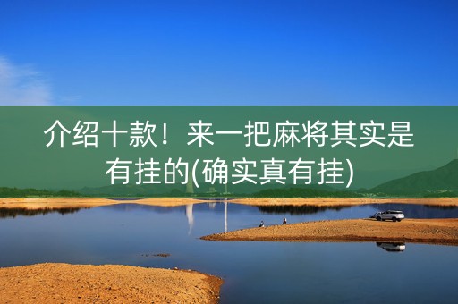 介绍十款！来一把麻将其实是有挂的(确实真有挂)