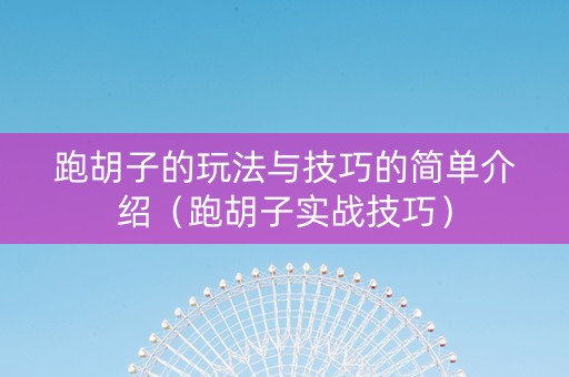 跑胡子的玩法与技巧的简单介绍（跑胡子实战技巧）