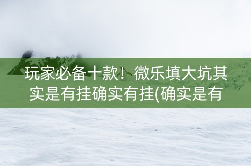 玩家必备十款！微乐填大坑其实是有挂确实有挂(确实是有挂)