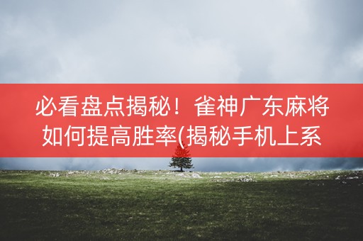 必看盘点揭秘！雀神广东麻将如何提高胜率(揭秘手机上系统发好牌)