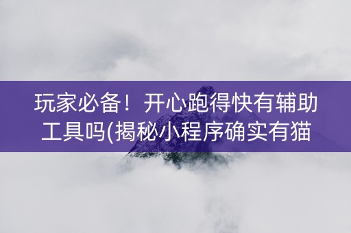 玩家必备！开心跑得快有辅助工具吗(揭秘小程序确实有猫腻)