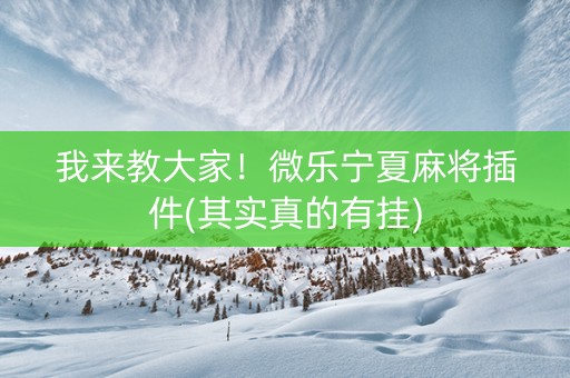 我来教大家！微乐宁夏麻将插件(其实真的有挂)