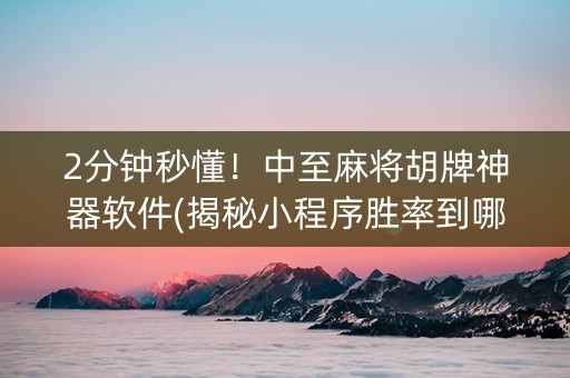 2分钟秒懂！中至麻将胡牌神器软件(揭秘小程序胜率到哪调)