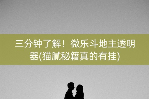 三分钟了解！微乐斗地主透明器(猫腻秘籍真的有挂)