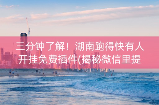 三分钟了解！湖南跑得快有人开挂免费插件(揭秘微信里提高胜率)
