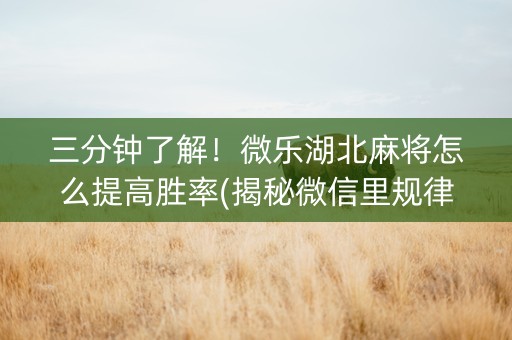 三分钟了解！微乐湖北麻将怎么提高胜率(揭秘微信里规律攻略)