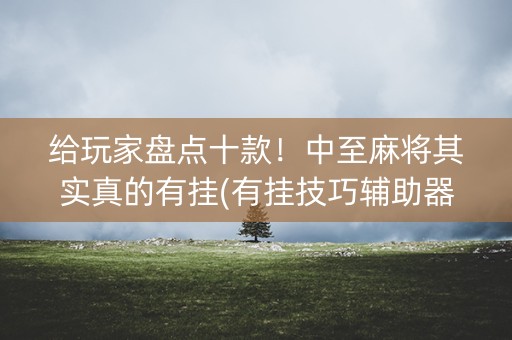 给玩家盘点十款！中至麻将其实真的有挂(有挂技巧辅助器)