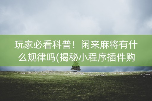 玩家必看科普！闲来麻将有什么规律吗(揭秘小程序插件购买)