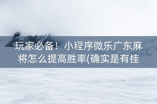 玩家必备！小程序微乐广东麻将怎么提高胜率(确实是有挂的)