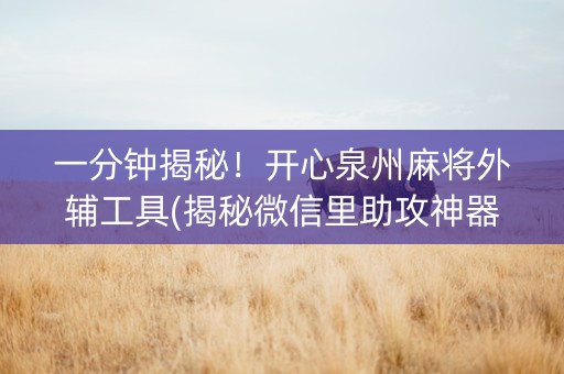 一分钟揭秘！开心泉州麻将外辅工具(揭秘微信里助攻神器)