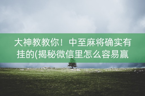 大神教教你！中至麻将确实有挂的(揭秘微信里怎么容易赢)