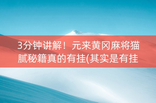 3分钟讲解！元来黄冈麻将猫腻秘籍真的有挂(其实是有挂的)